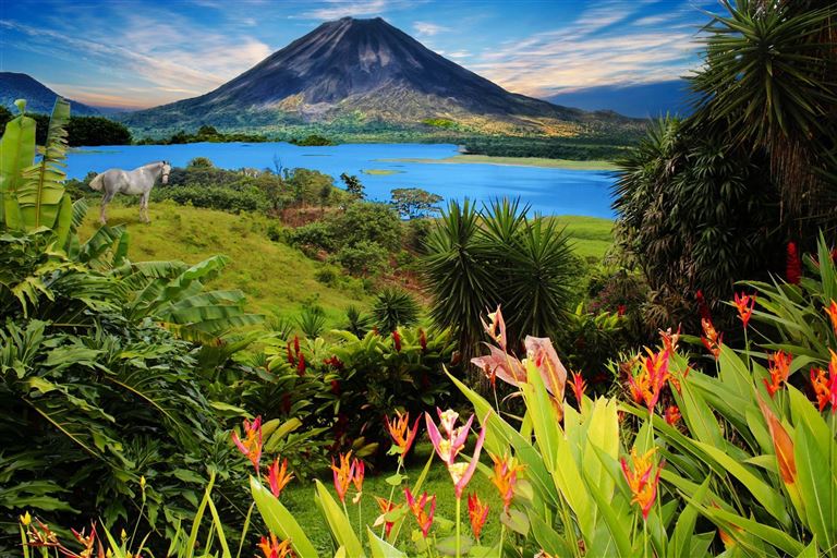 Farbenmeer Costa Rica